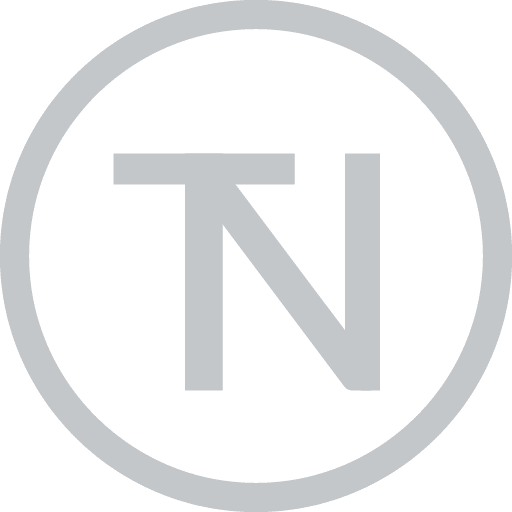 True & North logo icon