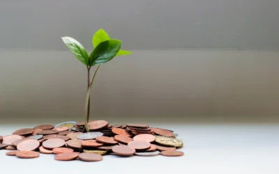 Selling When the Solution is Unclear
